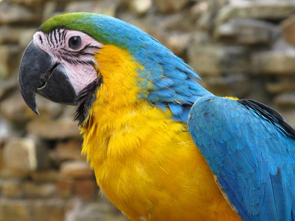 Unterstützung für geflüchtete Menschen aus der Ukraine - Freier Eintritt im Tierpark + Fossilium Bochum
