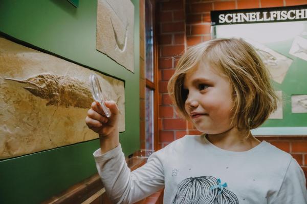 Museen Entdecken – Internationaler Museumstag am 15. Mai. Gemeinsame Aktionen von Tierpark + Fossilium Bochum, Diakonie Ruhr und Evangelische Kirche Bochum