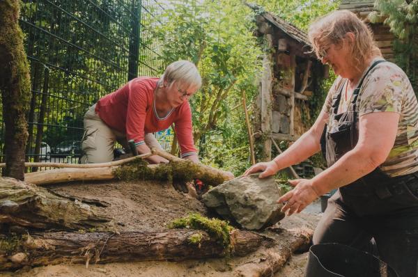 Insektenschutz im Tierpark + Fossilium Bochum 