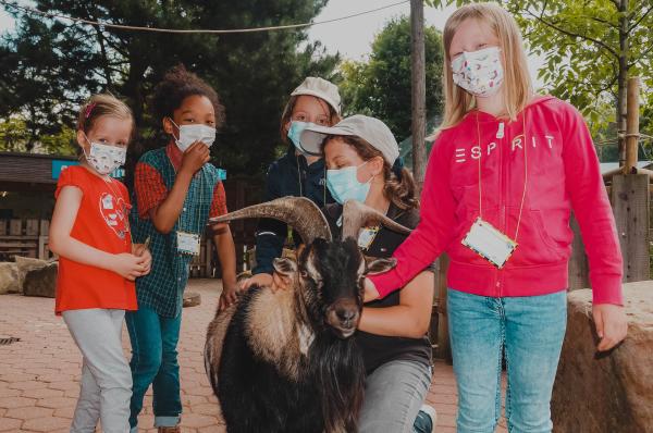 Wilden Kreaturen auf der Spur