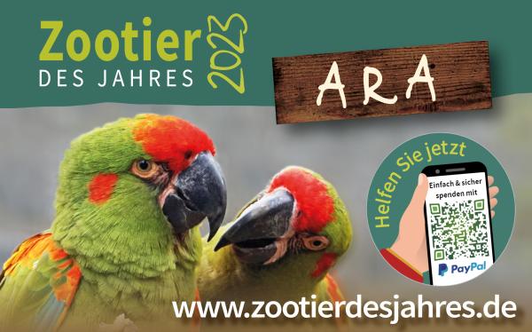 Der Ara ist Zootier des Jahres 2023 – Bochumer Tierpark unterstützt Artenschutzkampagne als Bronzeförderer