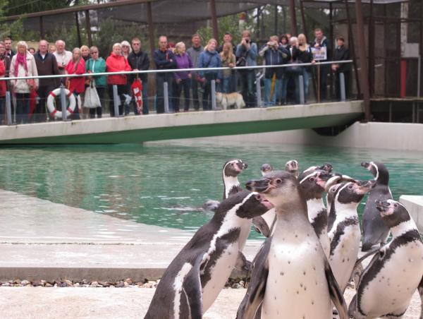 Tierpark Bochum zieht positive Halbjahresbilanz
