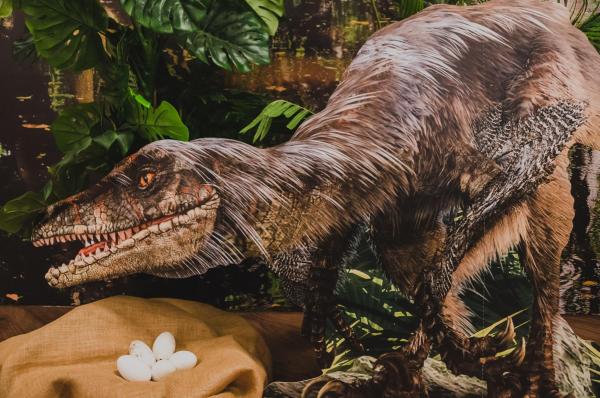 Reise in die Urzeit – Dinotag im Tierpark + Fossilium Bochum
