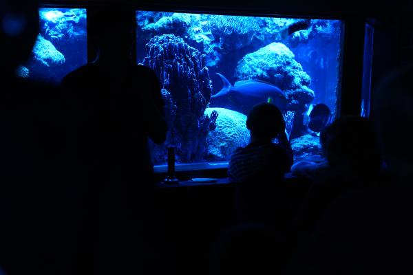 Nacht der Natur im Tierpark + Fossilium Bochum
