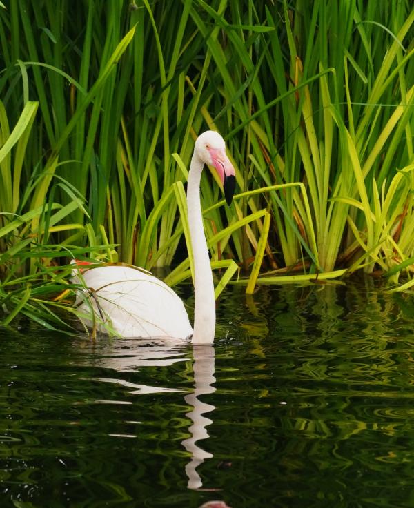 Verstehen, um zu bewahren: Umweltbildung schützt Feuchtgebiete