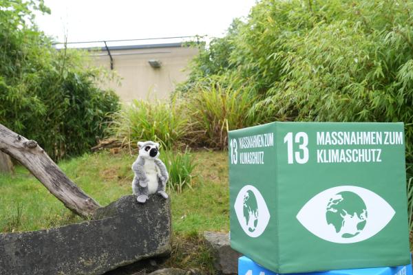 Fortbildung zur KlimaBilderBox für Multiplikatorinnen und Multiplikatoren